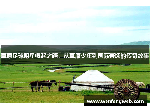 草原足球明星崛起之路：从草原少年到国际赛场的传奇故事