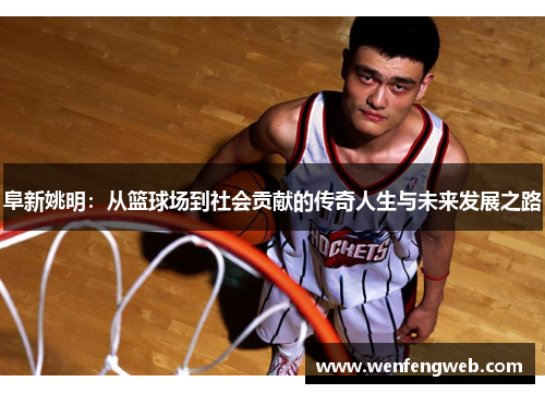 阜新姚明：从篮球场到社会贡献的传奇人生与未来发展之路