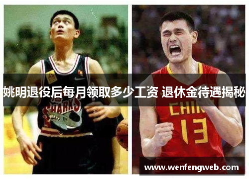 姚明退役后每月领取多少工资 退休金待遇揭秘