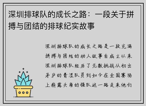 深圳排球队的成长之路：一段关于拼搏与团结的排球纪实故事