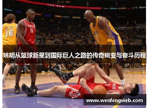 姚明从篮球新星到国际巨人之路的传奇蜕变与奋斗历程